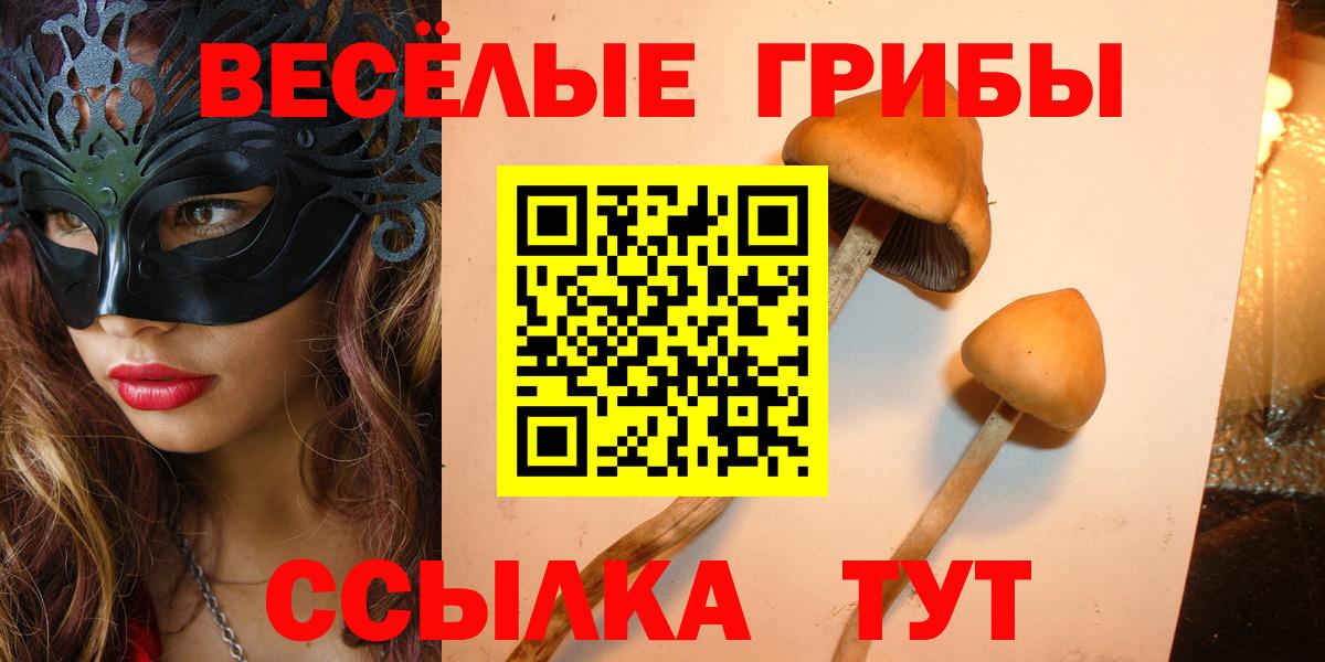 Псилоцибиновые грибы Cubensis Первоуральск